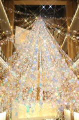 キラッキラッ☆゜+.゜ヾ(・ω・*)ノ 