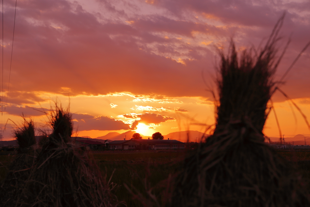夕焼け