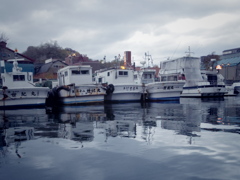 IMGP7257
