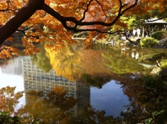 日比谷公園の紅葉