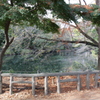 井の頭公園の池