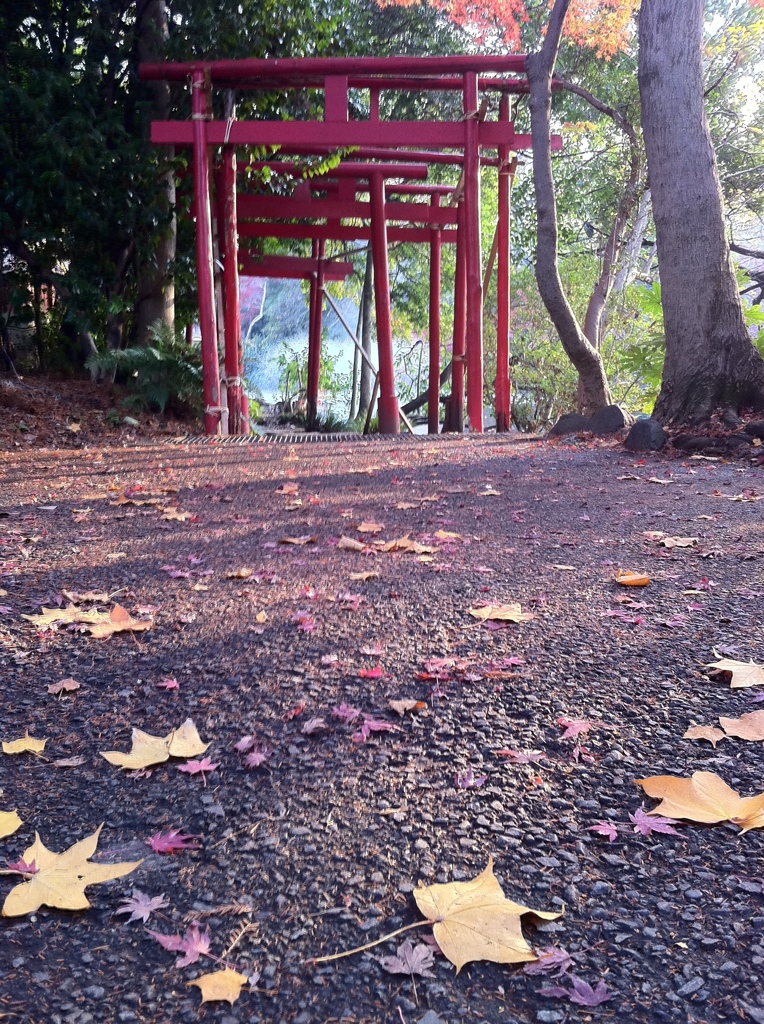 秋の井の頭公園２
