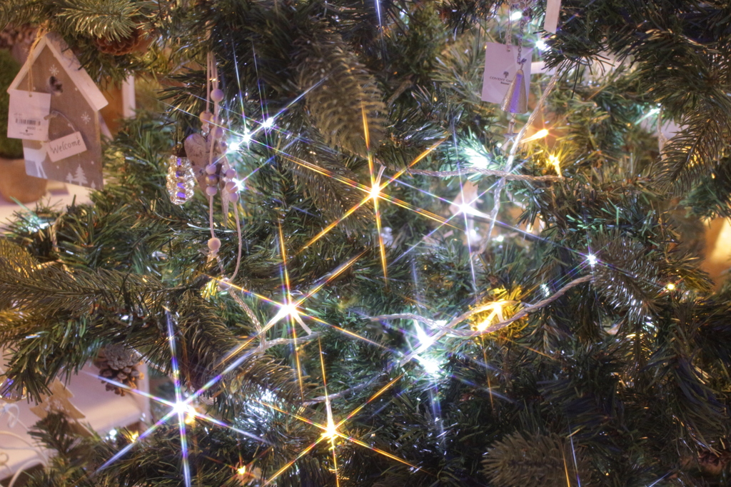 クリスマスツリー