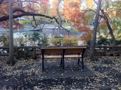 秋の井の頭公園３