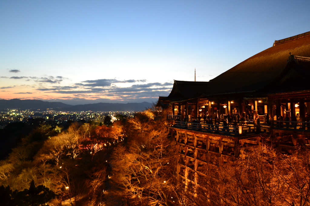 清水寺　ライトアップ