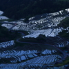 丸山千枚田　自動車テールランプ