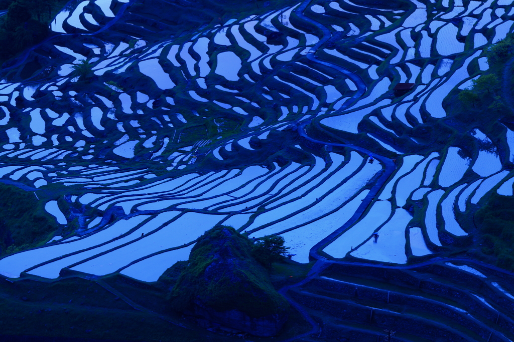 丸山千枚田　その２
