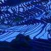 丸山千枚田　その２