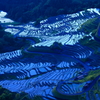 丸山千枚田　全景