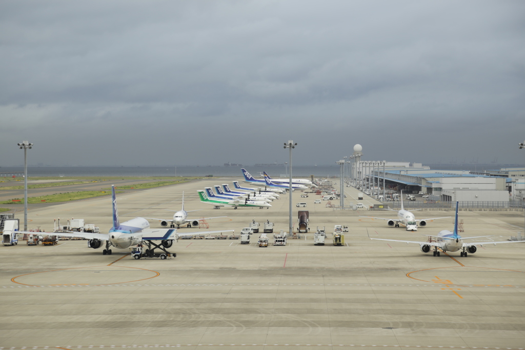 早朝の駐機場