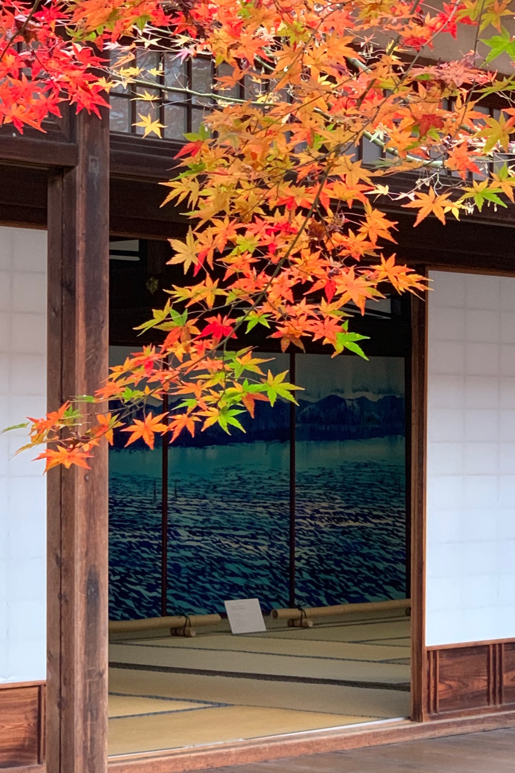 京都 建仁寺と紅葉
