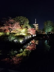 京都 東寺ライトアップ