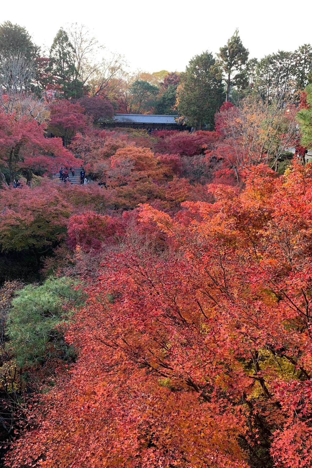 京都 東福寺