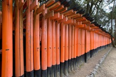 伏見稲荷大社の千本鳥居