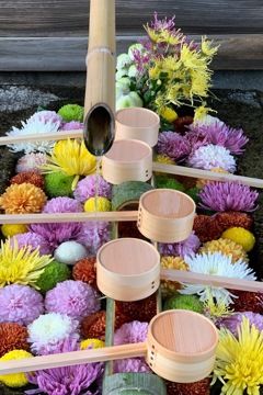 京都勝林寺の花手水