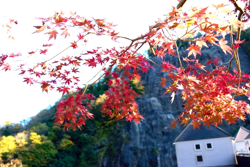 紅葉