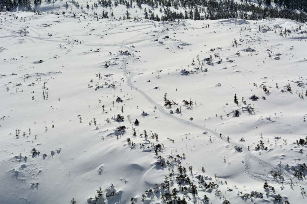 雪山登山道