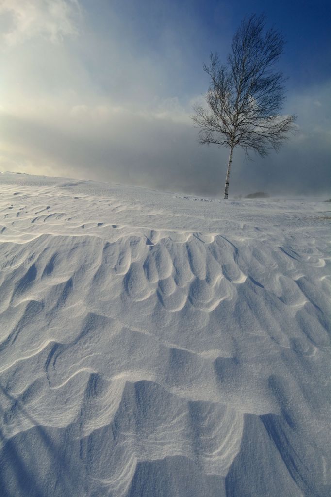 雪の造形美