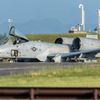 Thunderbolt2 A-10 1