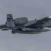 Thunderbolt2 A-10 6