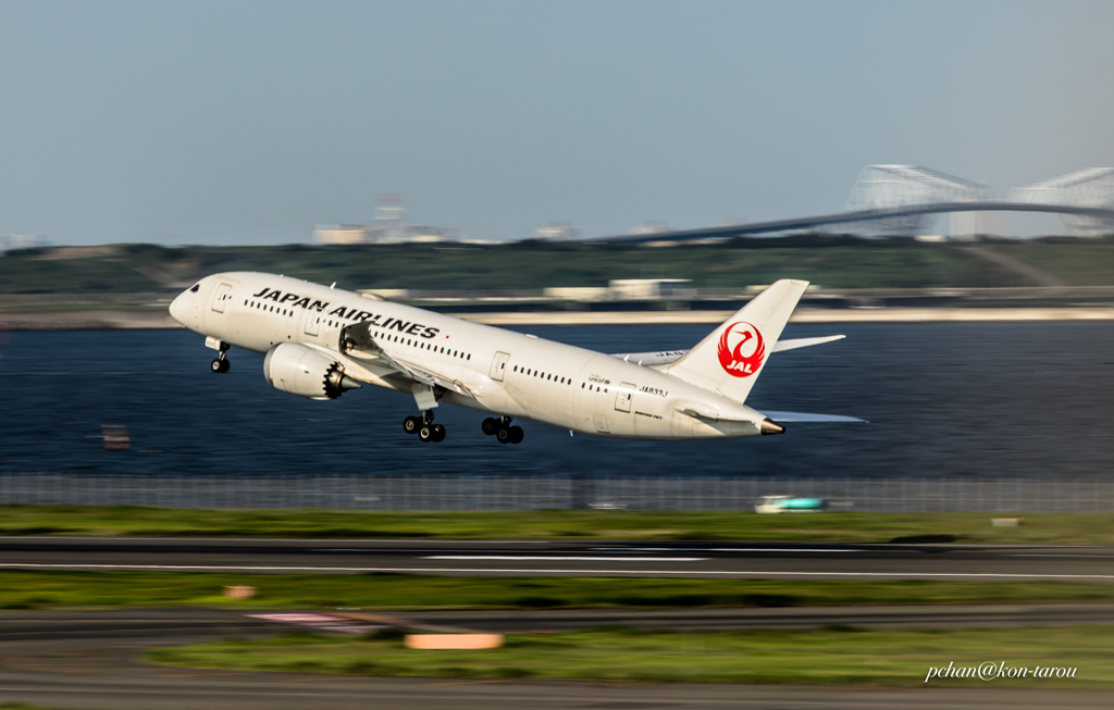 赤組787