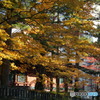 DSC095662017/11/03 日光東照宮　文化の日