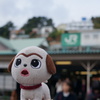 DSC07039