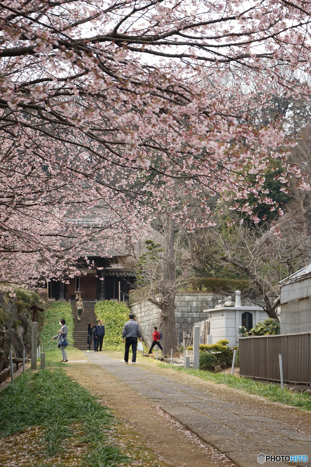 真言宗 西方寺