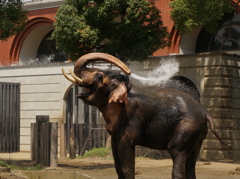 2DSC05481