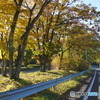 DSC096412017/11/03 日光東照宮　文化の日