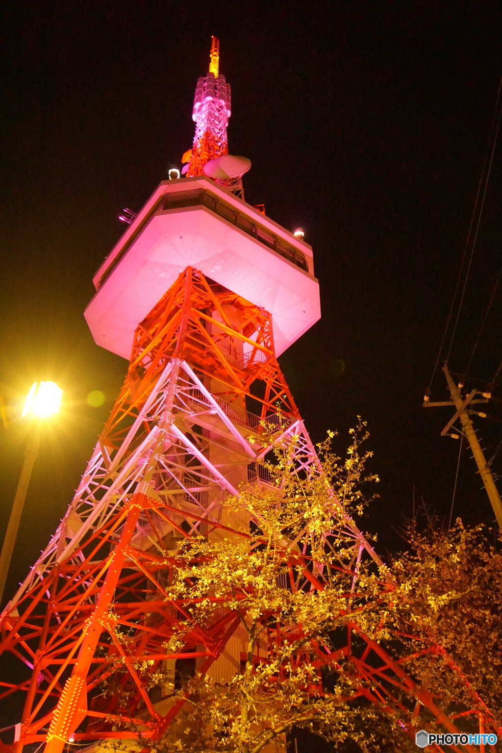 DSC00418八幡山　さくら　