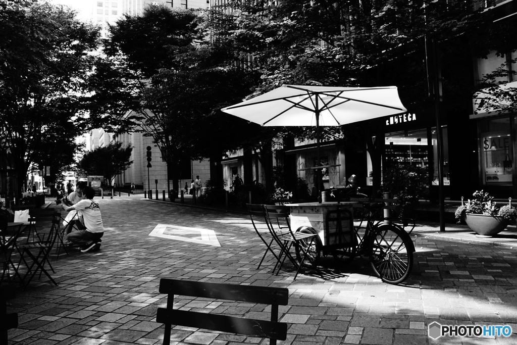 DSC04206