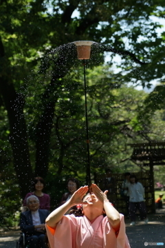 DSC004682017-05-05六義園