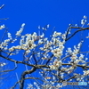 1IMG_1769