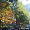DSC095452017/11/03 日光東照宮　文化の日