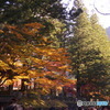 DSC095482017/11/03 日光東照宮　文化の日