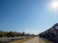 昼下がりの鴨川