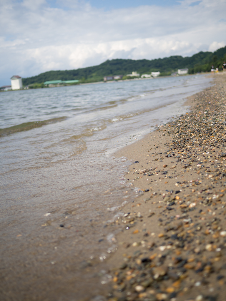 琵琶湖の湖岸