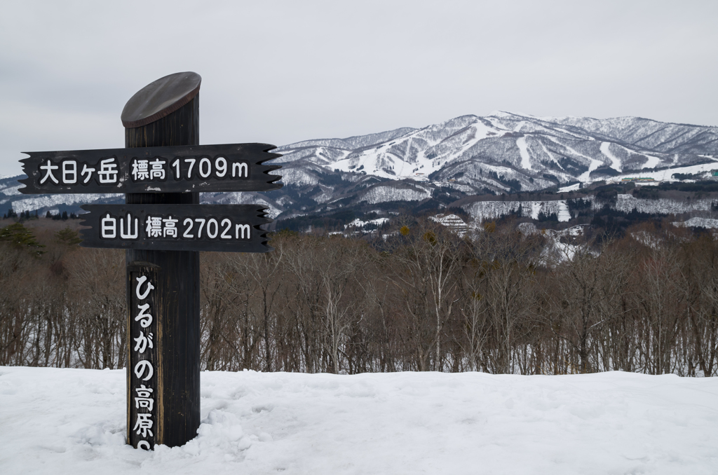 ひるがの高原SA