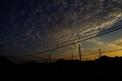 OTOT0779