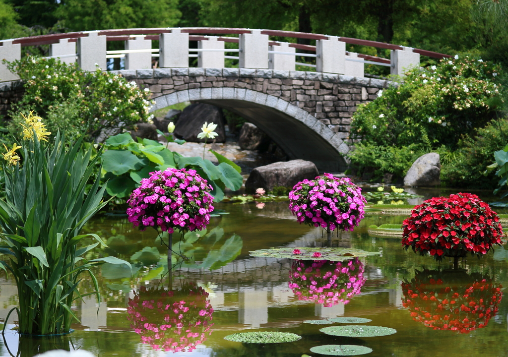 花影の池