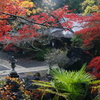 錦秋石山寺　蓮如堂