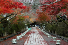 石山寺　開門直後の参道