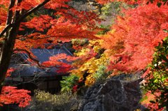 石山寺　秋Ⅵ