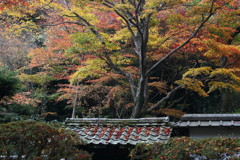 石山寺　屋根の上の秋