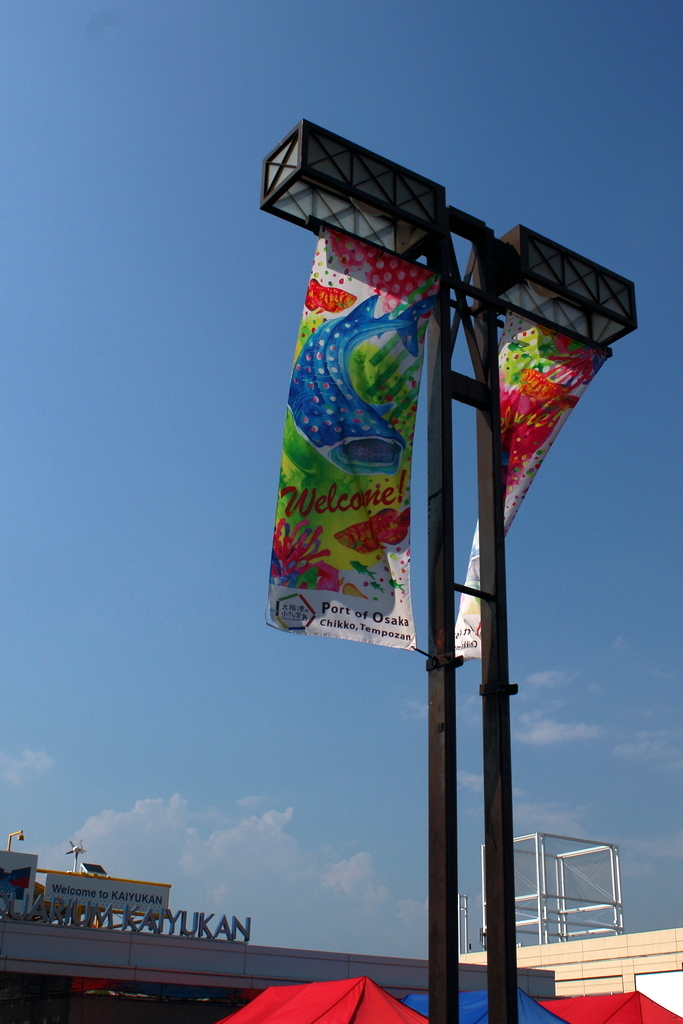 海遊館5