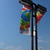 海遊館5