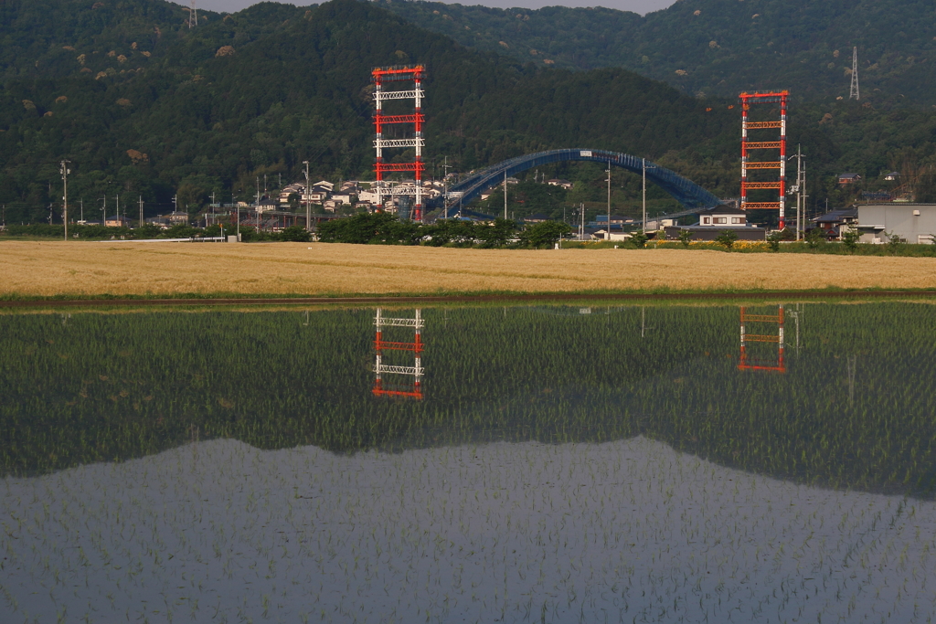新しい橋