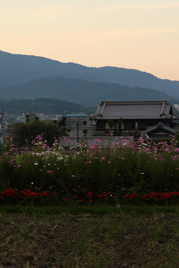 暮れゆく風景