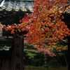 錦秋石山寺　公風園